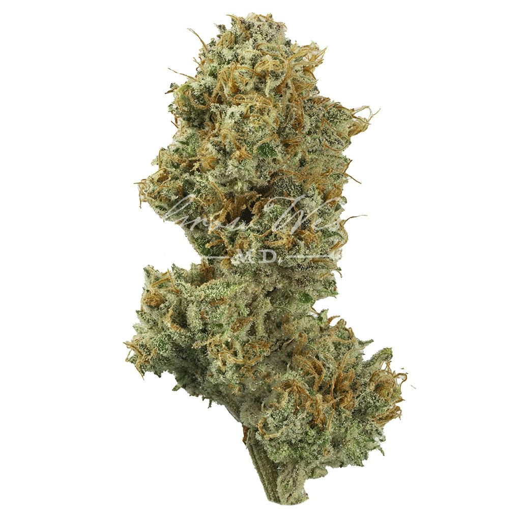 Grow West Cannabis Company Mile High Volcano Gold Trimmed 14g