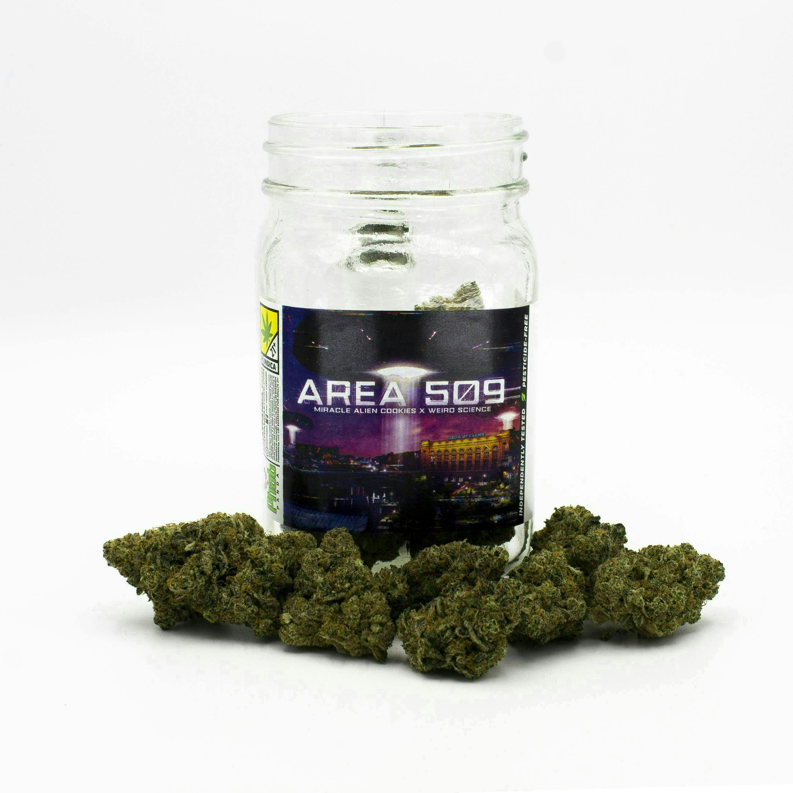 Area 509 | Big Buds - Phat Panda