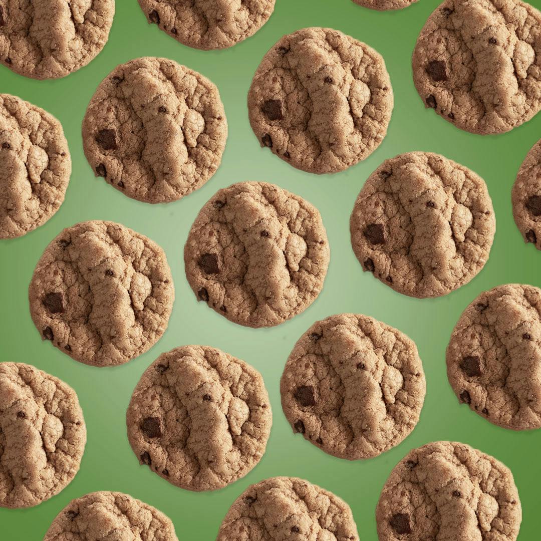 Chocolate Chip 1:1 10mg Cookies- FOCUS+WELLNESS - Dr. Norm's