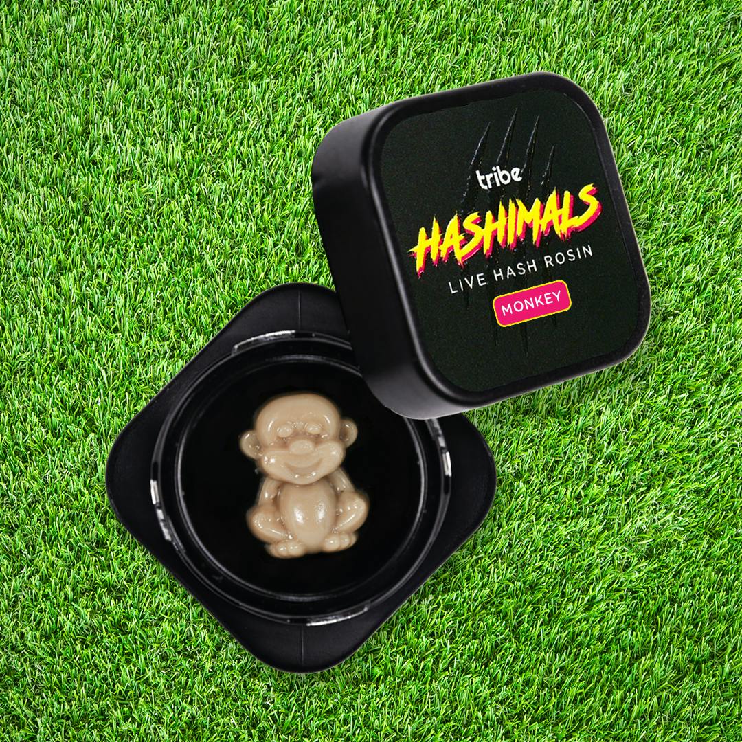 島 5枚 サインド Tribe | Citrus Sand | Monkey Hashimals | 1.5g - Tribe