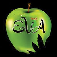 Eva Seeds logo