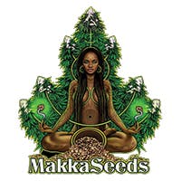 Makka Seeds logo