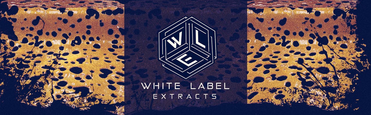vape where to buy Disposable Vape Products