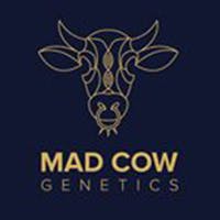 Mad Cow Genetics logo