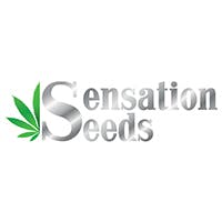 Sensation Seeds