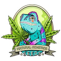 Natural Genetics Seeds logo