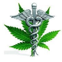 Enlightened Botanicals logo