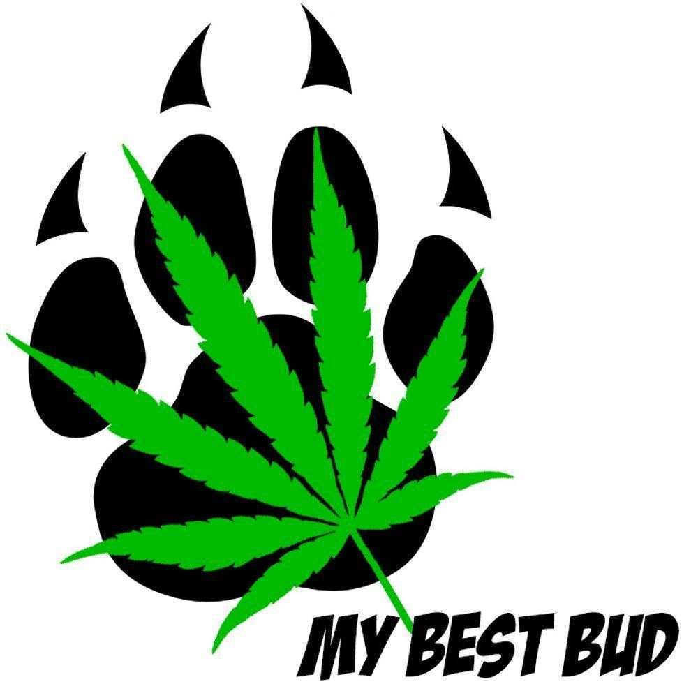 My Best Bud VET logo