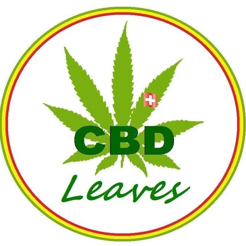 CBD Leaves logo