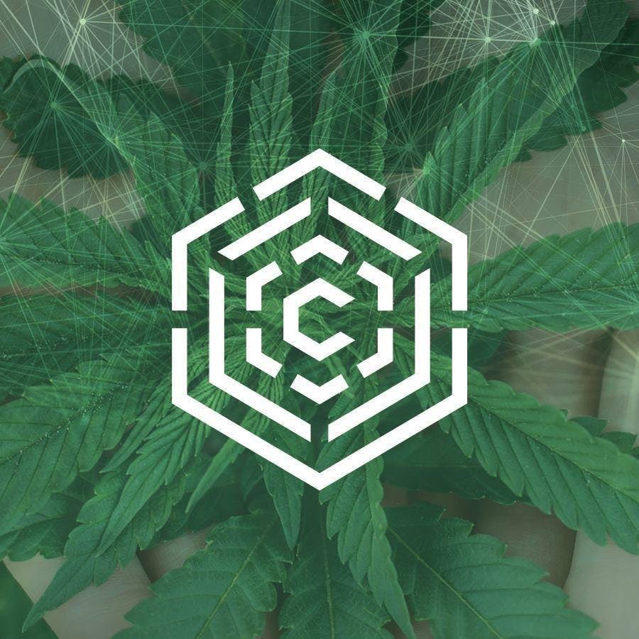 Culta | Featured Products & Details | Weedmaps