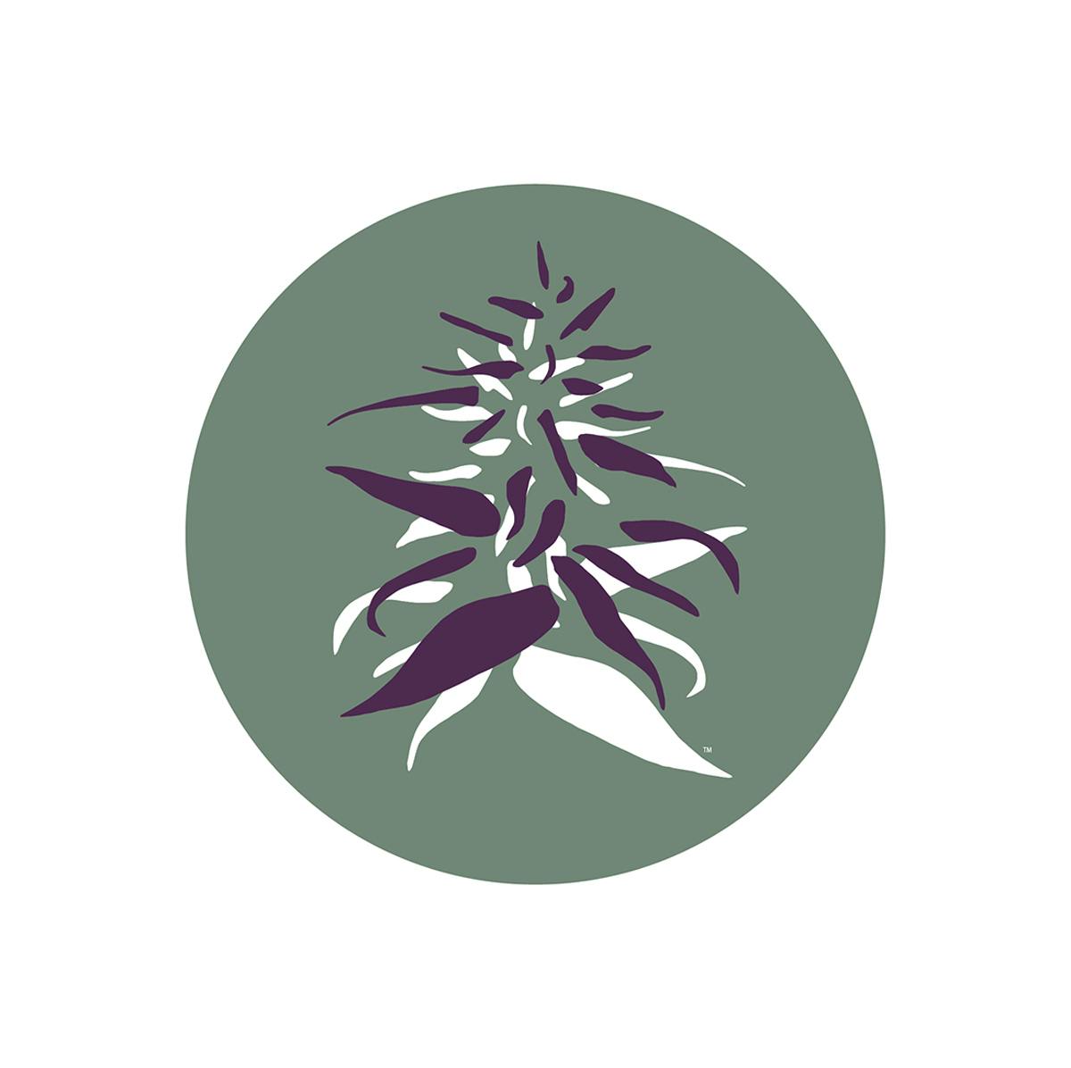 Hazy Hill Farm logo