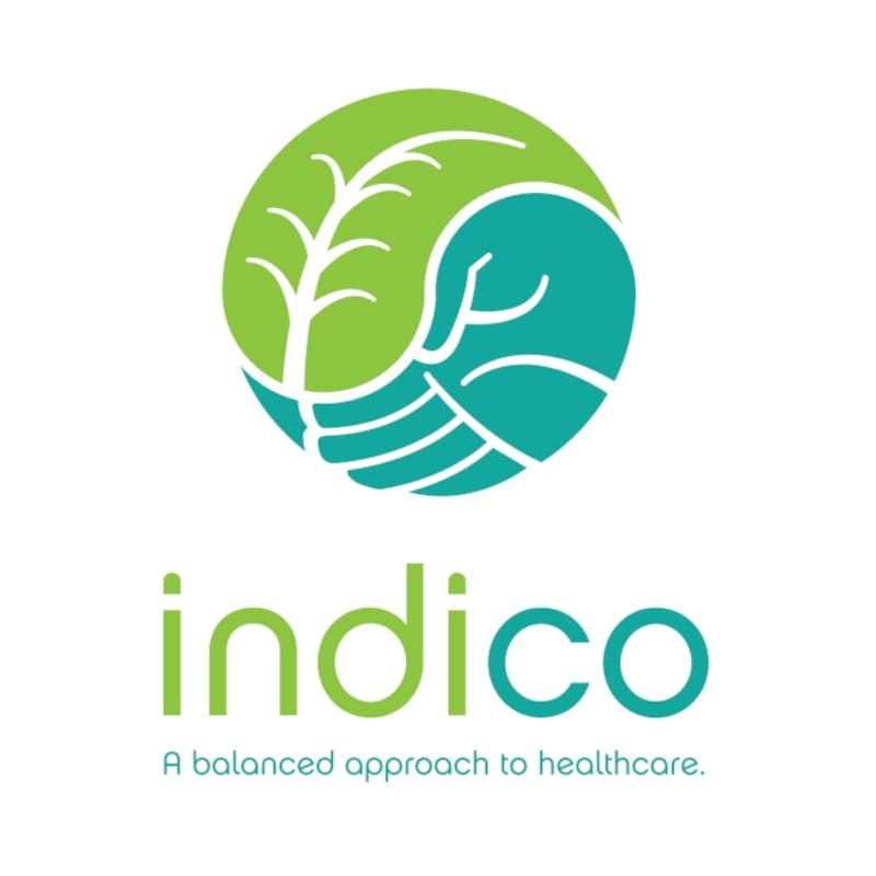 Indico logo
