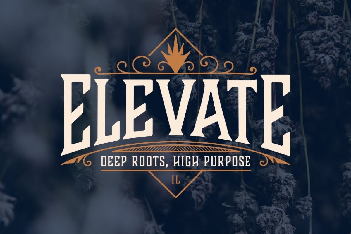 Elevate logo