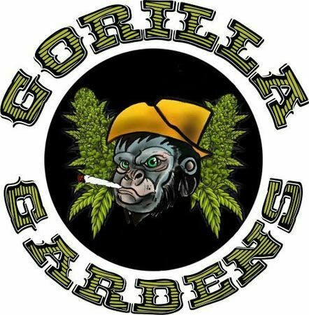 Garlic Budder - Smalls