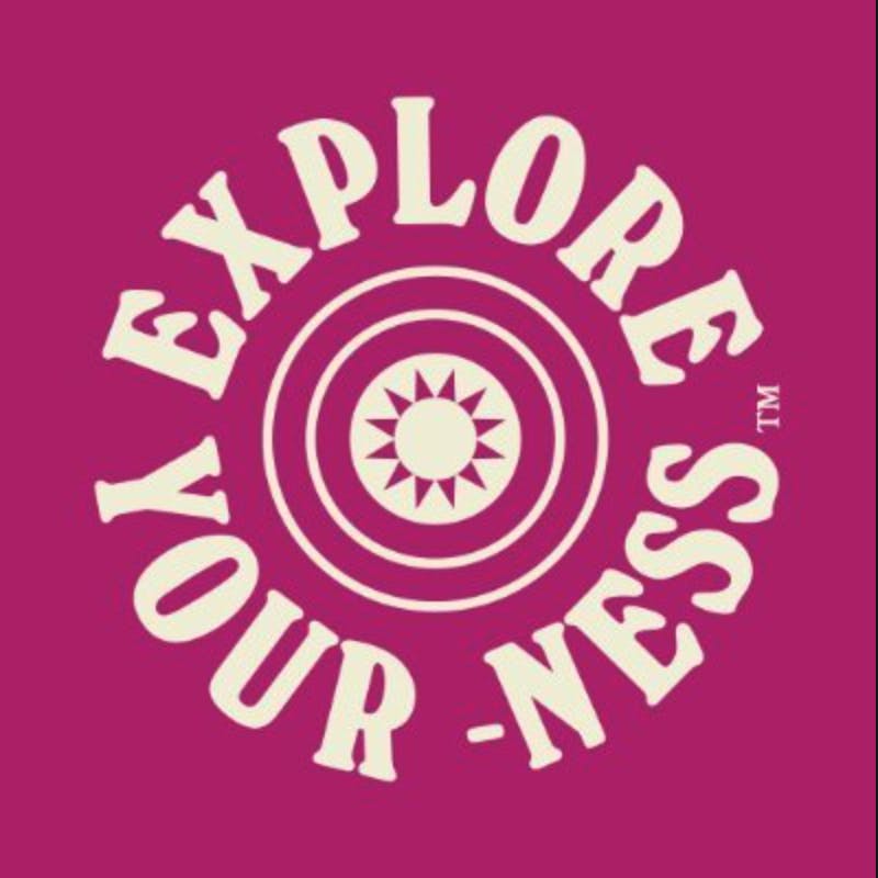 ness logo