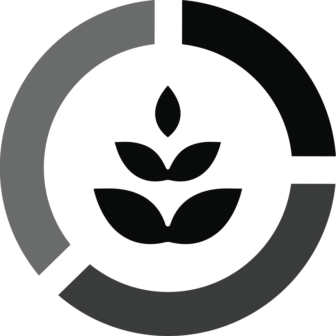 HEX logo