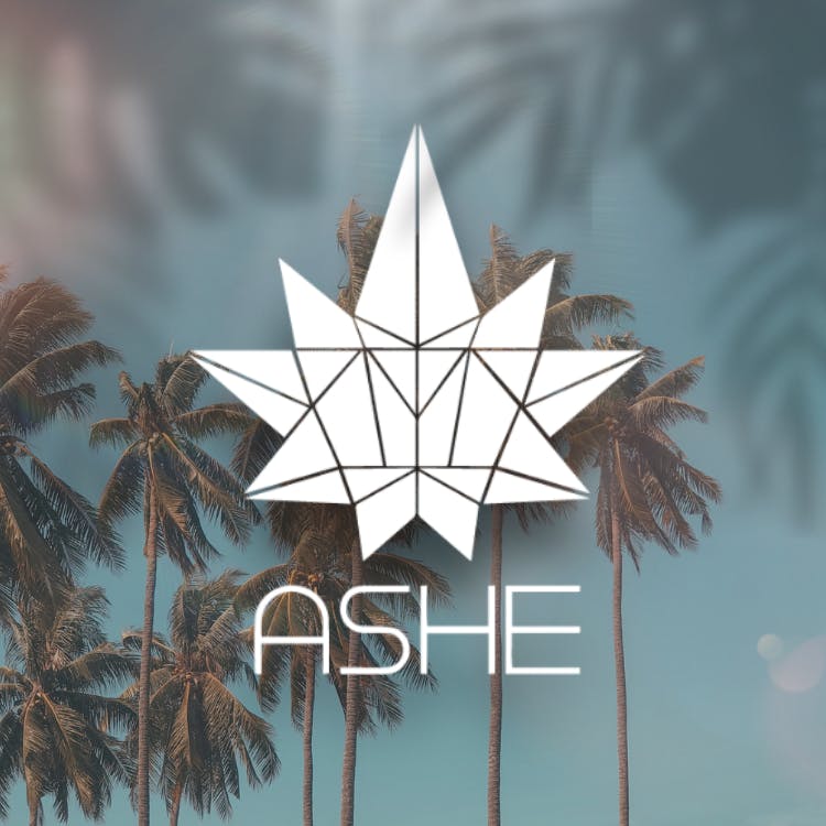 ASHE logo