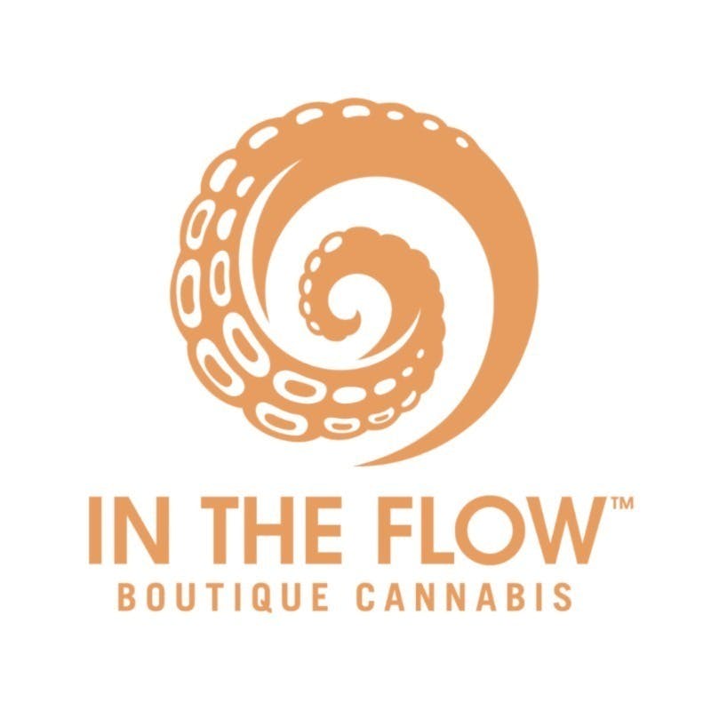 In The Flow logo