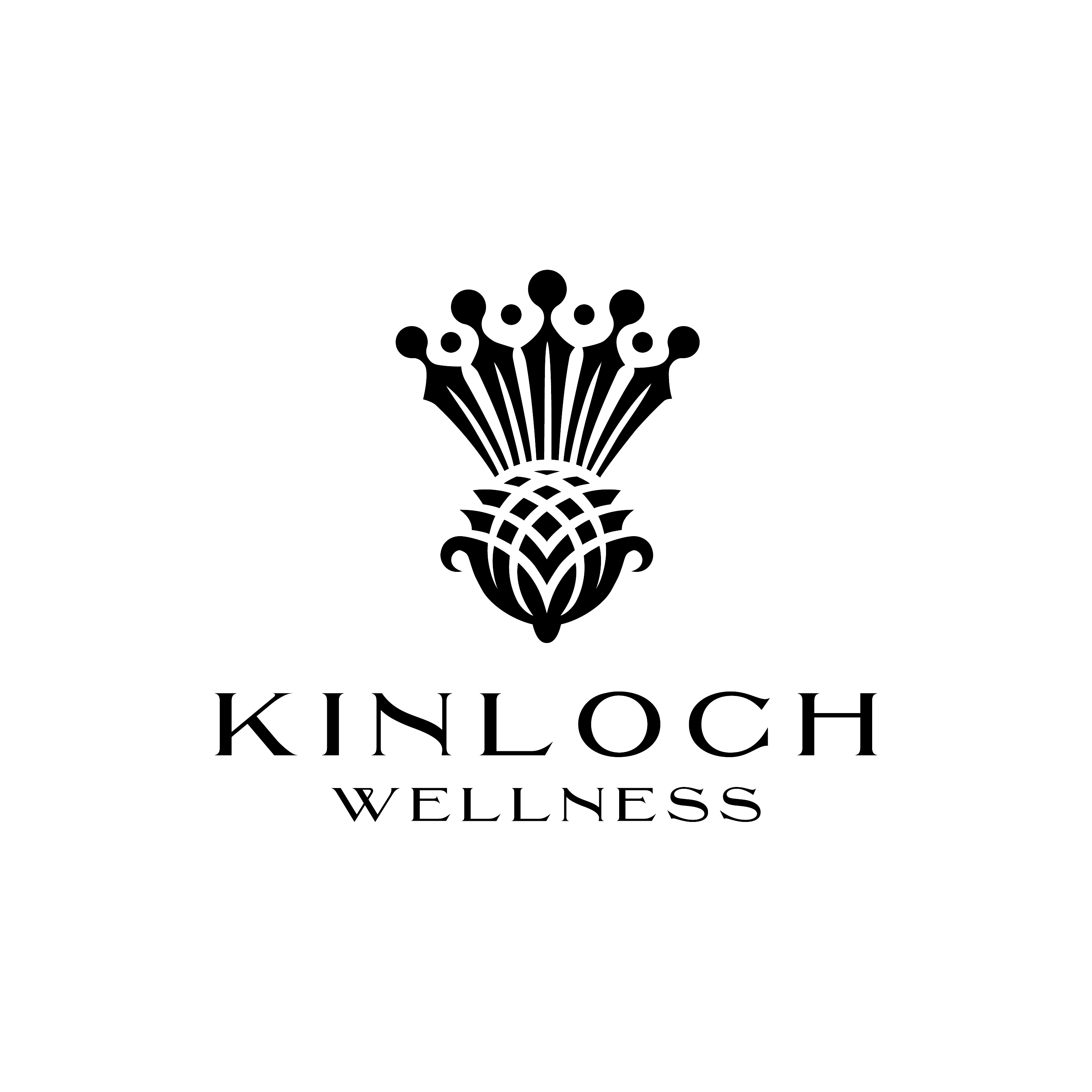 Kinloch Wellness HempDerived CBD, CBG & CBN Products Products Weedmaps