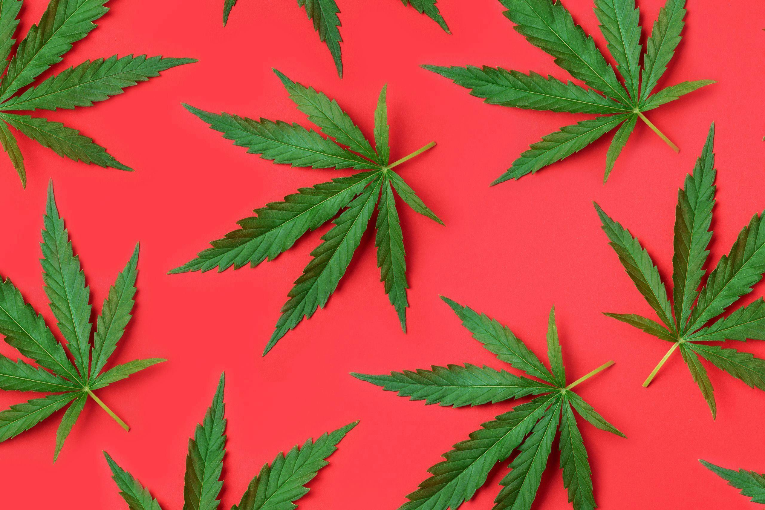 zenzona Featured Products & Details Weedmaps