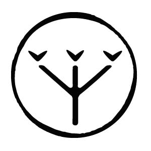 Maine Craft Cannabis
