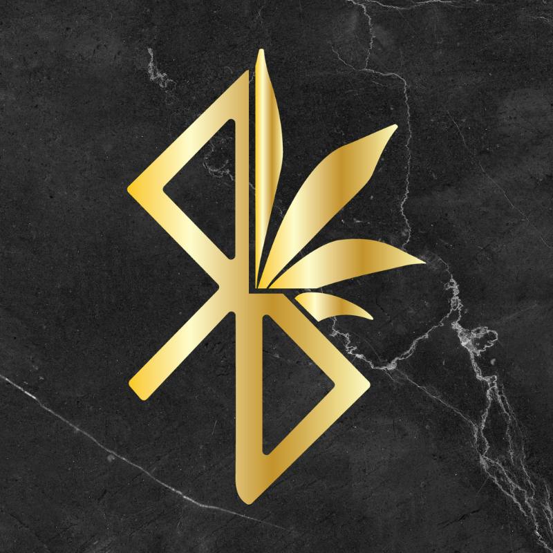 Subsidio logo