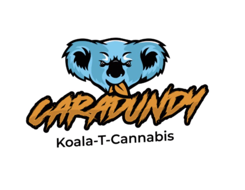 Caradundy logo