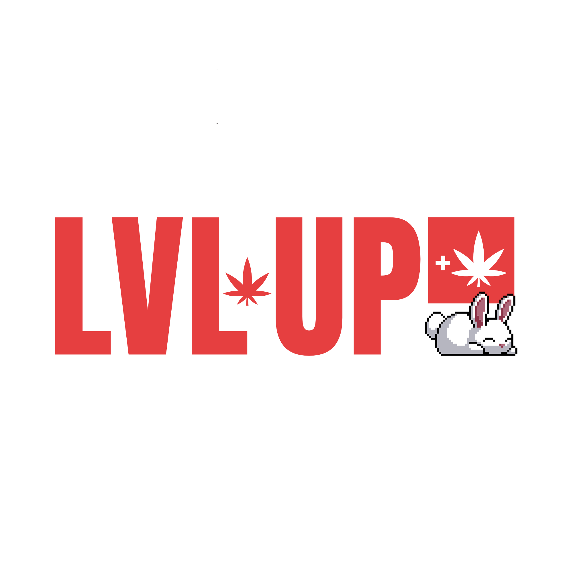 LVL UP logo