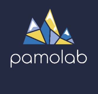 Rainbow Belts Distillate Disposable