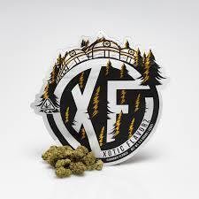 Xotic Flavors logo