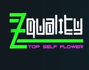 Z-Quality logo