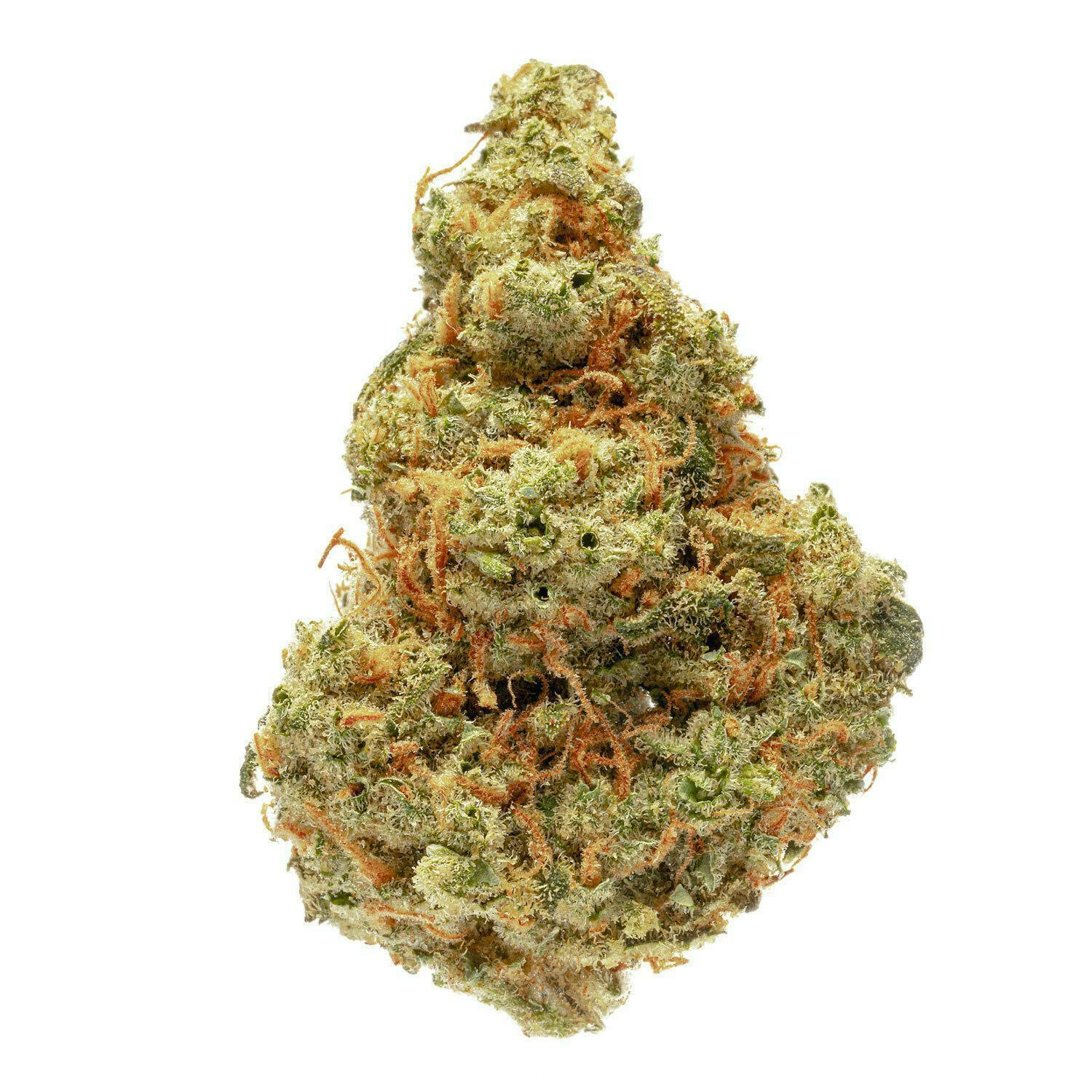 Super Lemon Haze - 3.5G Top Shelf Indoor Flower - West Coast Cure