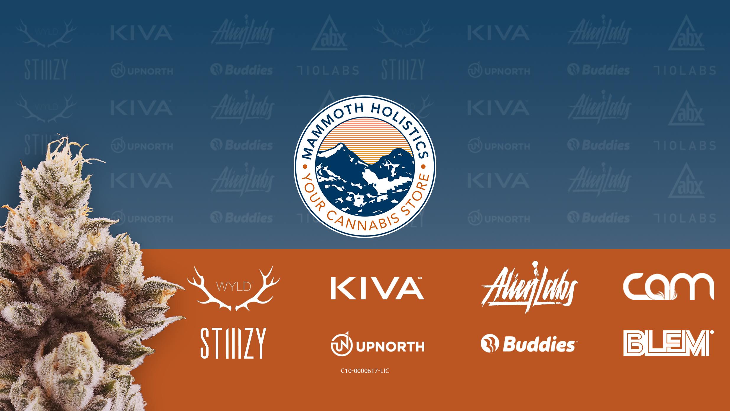 Mammoth Holistics Cartridges | Vape Carts | Order Online