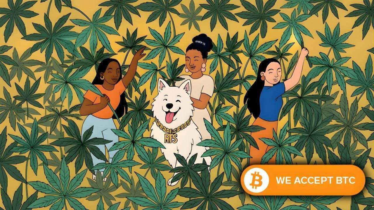 Real Fire Society Vape Pens | Order Online