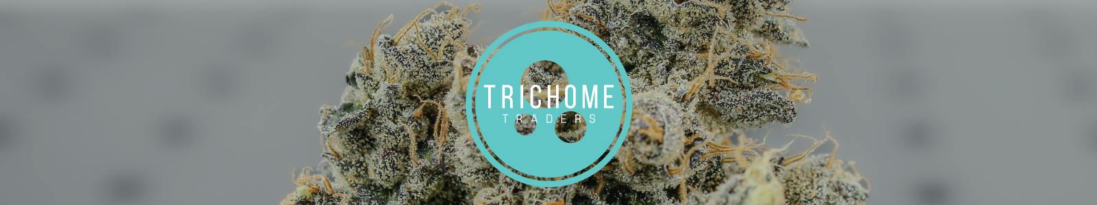Trichome Traders - Delivery — Delivery Service in Waterville, ME