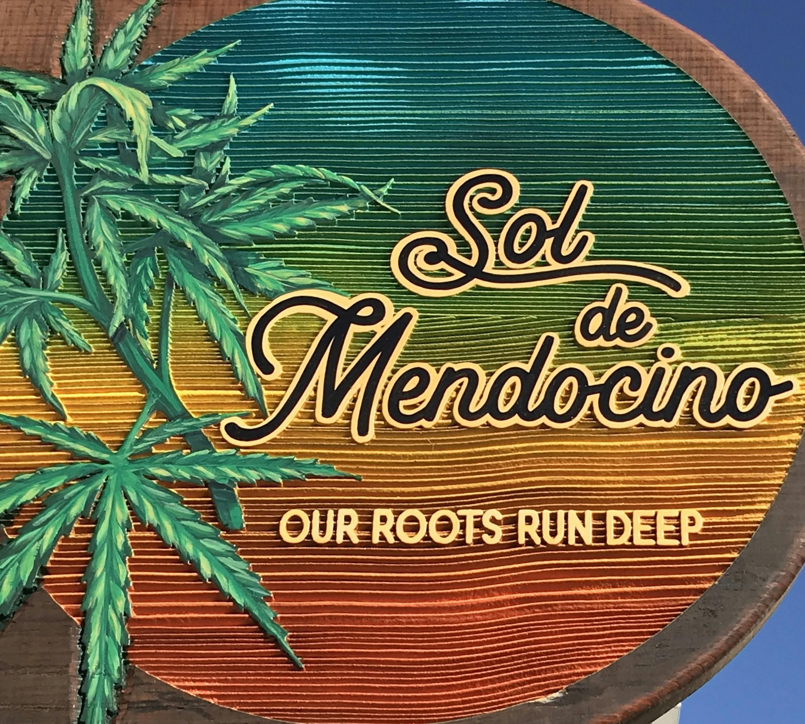 Sol De Mendocino / Love In It logo