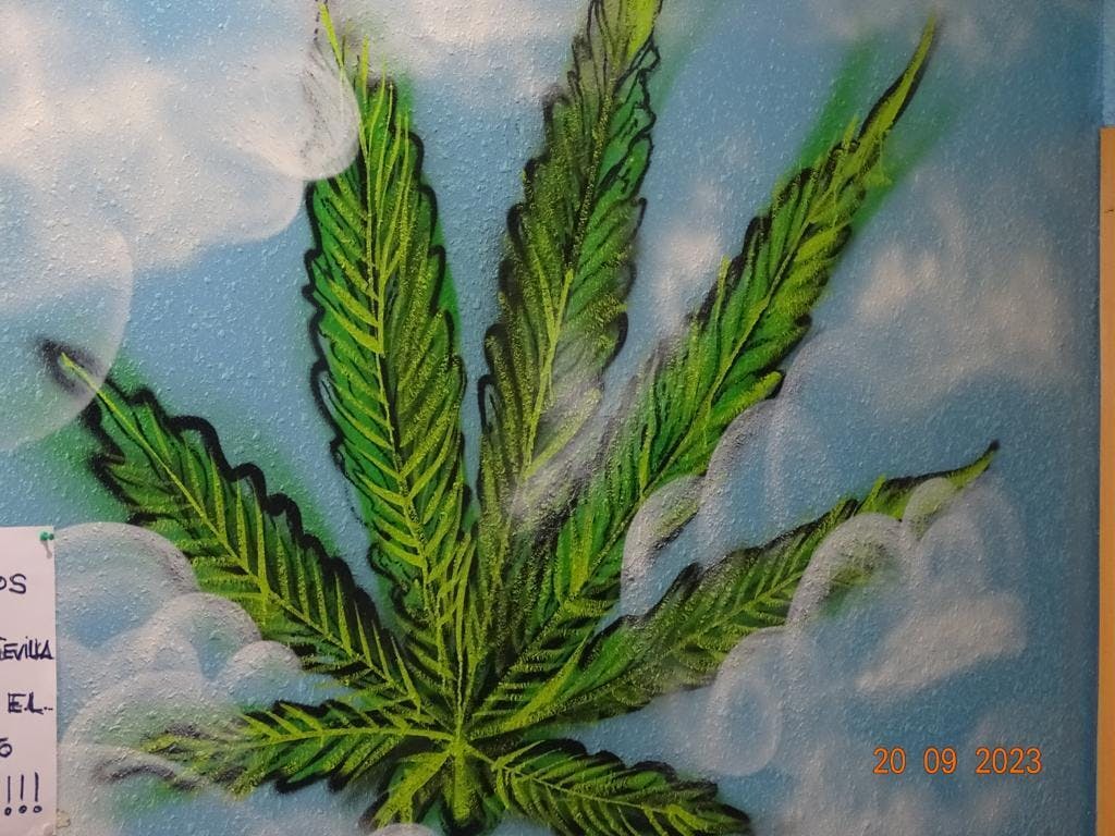 La Nube Cannabis Club Info, Menu & Deals - Weed dispensary Sevilla,  Andalucía