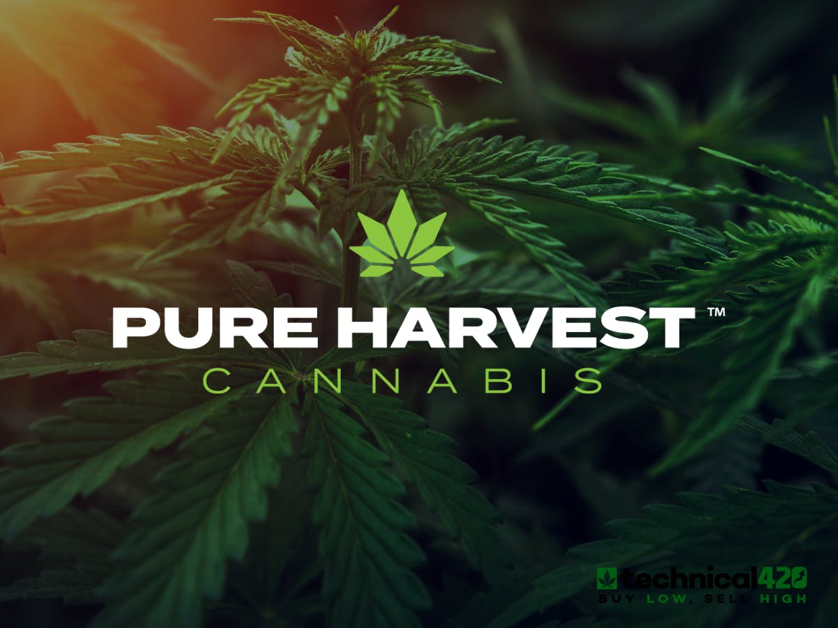 Pure Harvest Info, Menu & Deals Weed dispensary Dumont, Colorado