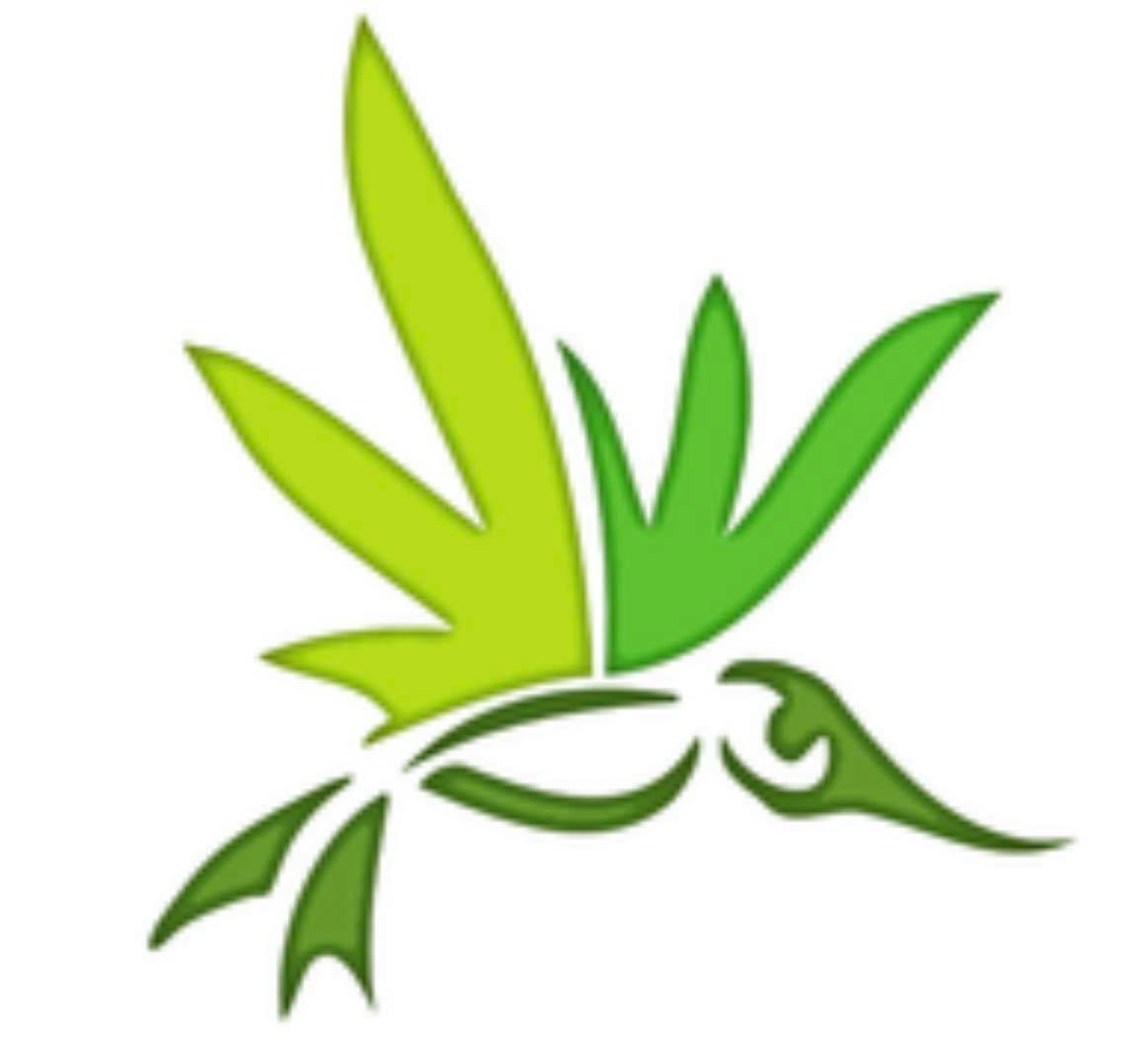 Altitude Organic Medicine - Platte Ave - Colorado Springs, Colorado  Marijuana Dispensary