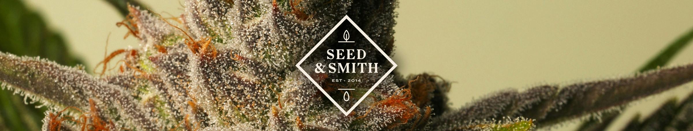 Seed & Smith Cannabis — Dispensaries in Denver, CO