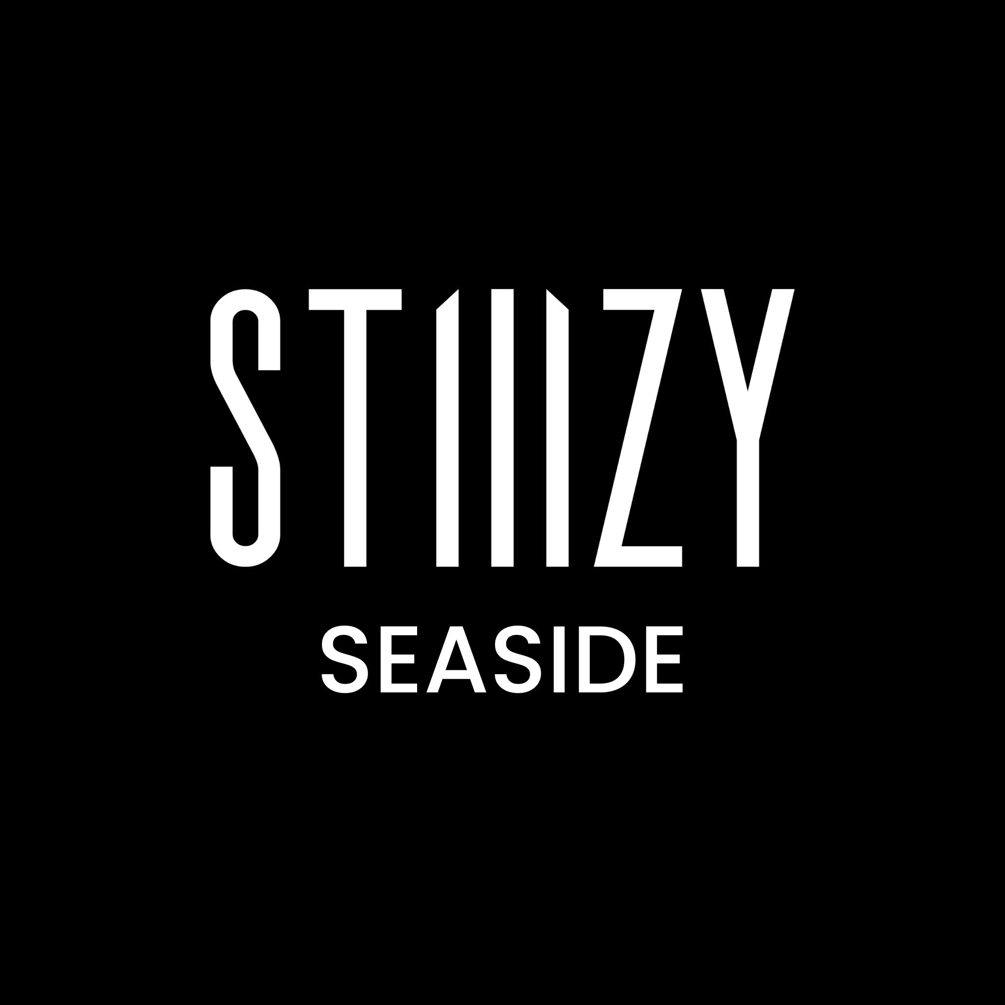 Higher Level - Seaside logo