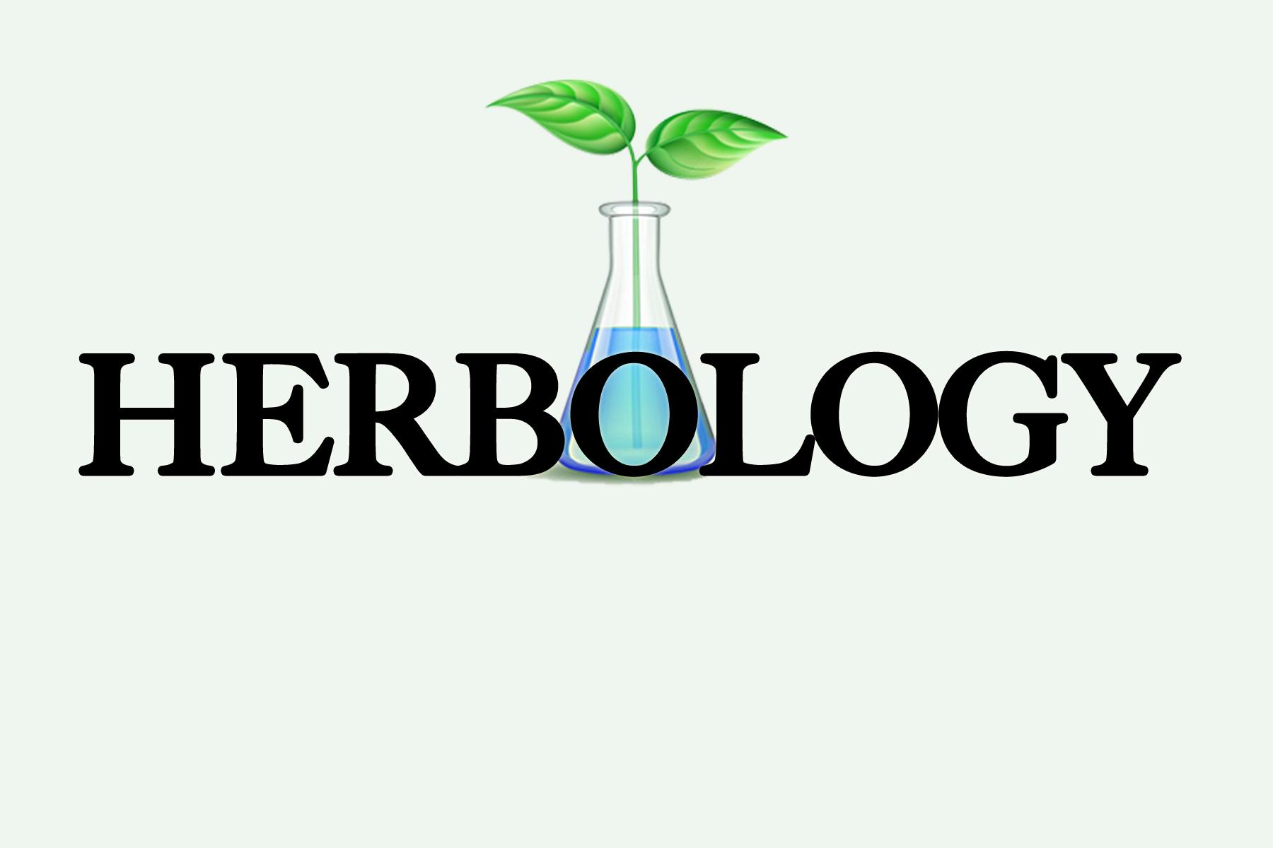 Herbology Oakdale Info, Menu & Deals Weed dispensary Oakdale, California