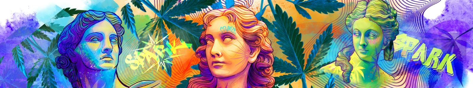 Spark Dispensary — Dispensaries in Denver, CO
