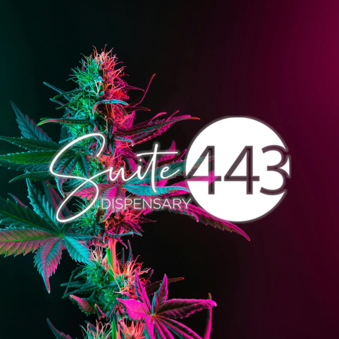 Suite 443