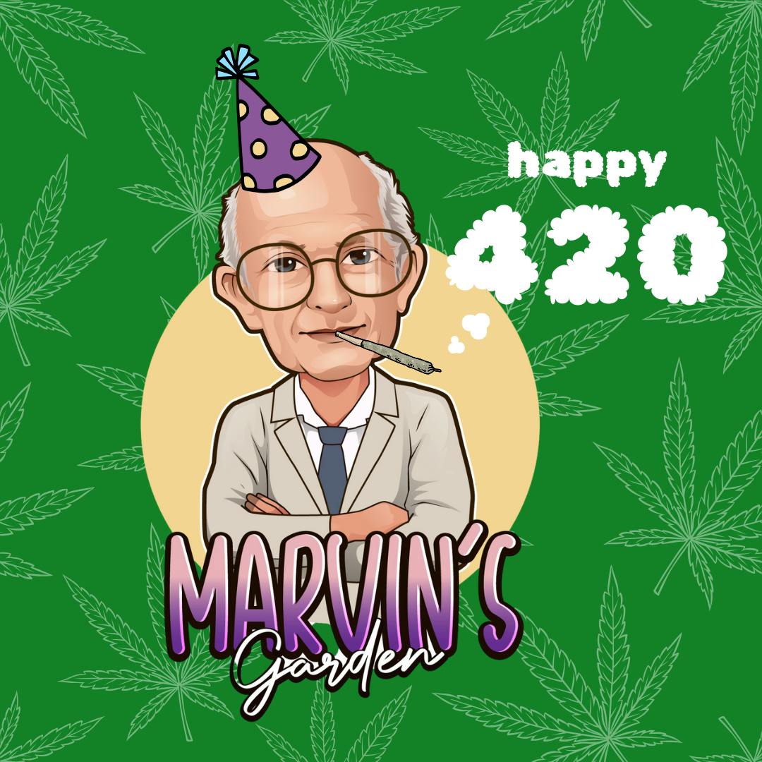 Marvin's Garden
