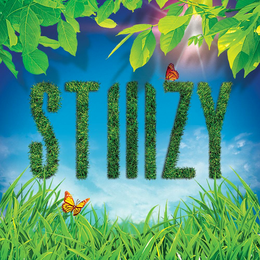STIIIZY Union Square
