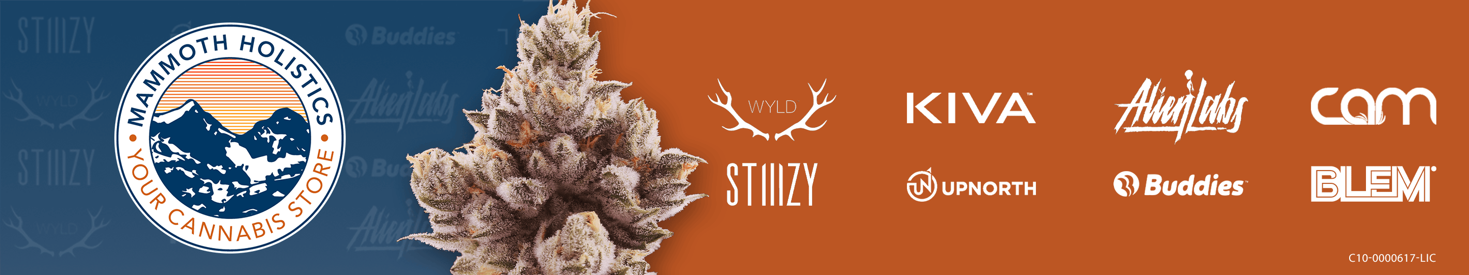 Mammoth Holistics — Dispensaries in Mammoth Lakes, CA