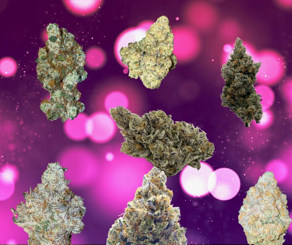 The Honeycomb Farm — Dispensaries in Wilton, ME