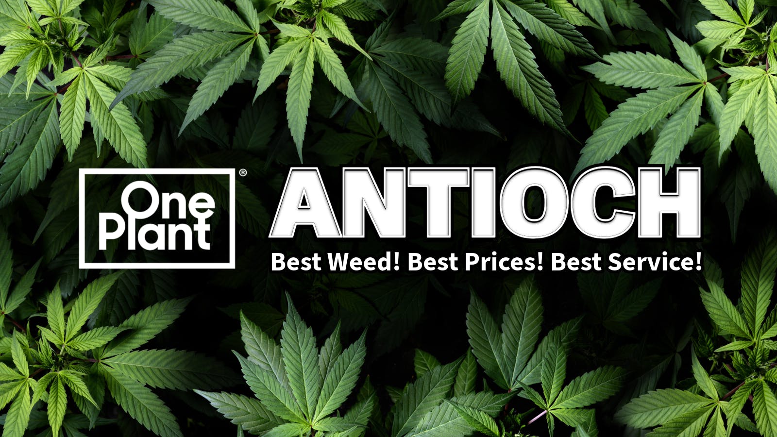 One Plant Antioch Menu, Reviews, Deals - Weed Dispensary in