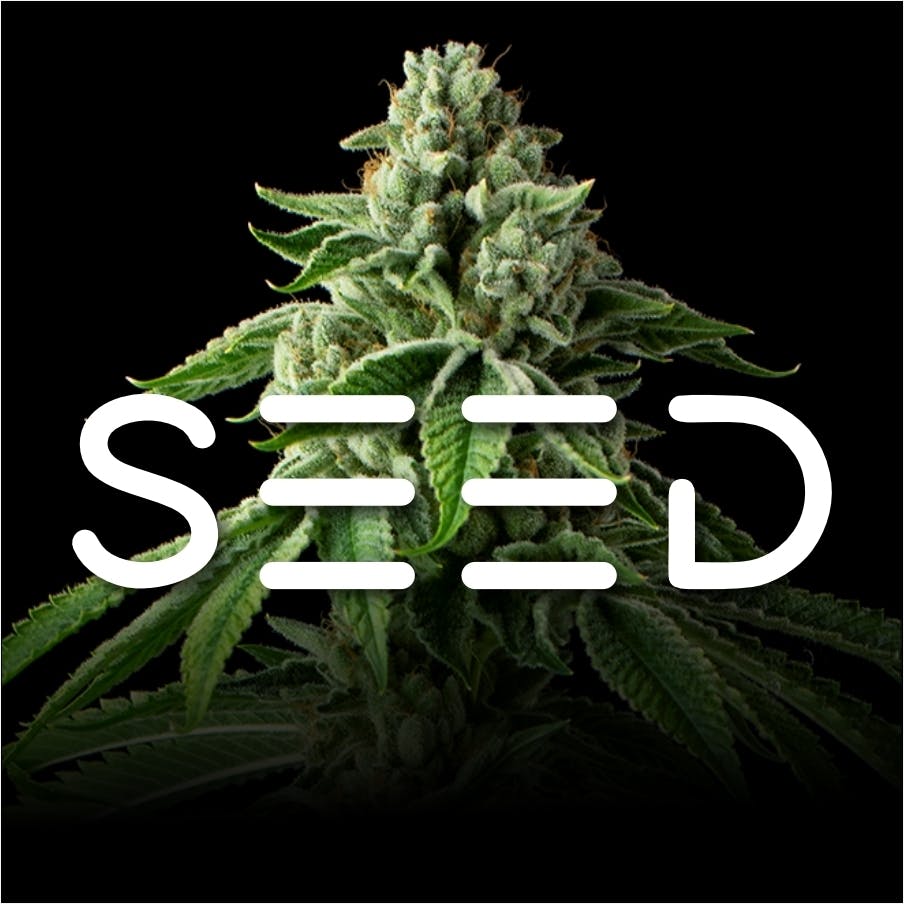 Seed Disposable Vape Pens | Order Online